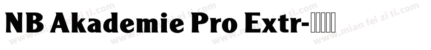 NB Akademie Pro Extr字体转换
